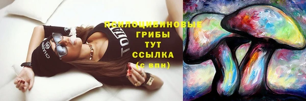 дмт Балахна